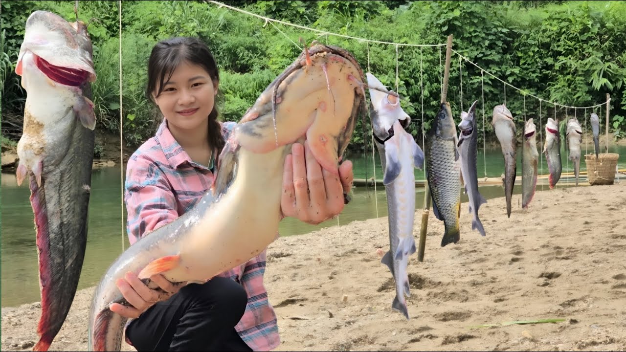 Vietnamese girl goes on an adventure with two dogs to catch giant fish for a living - ha thi muon