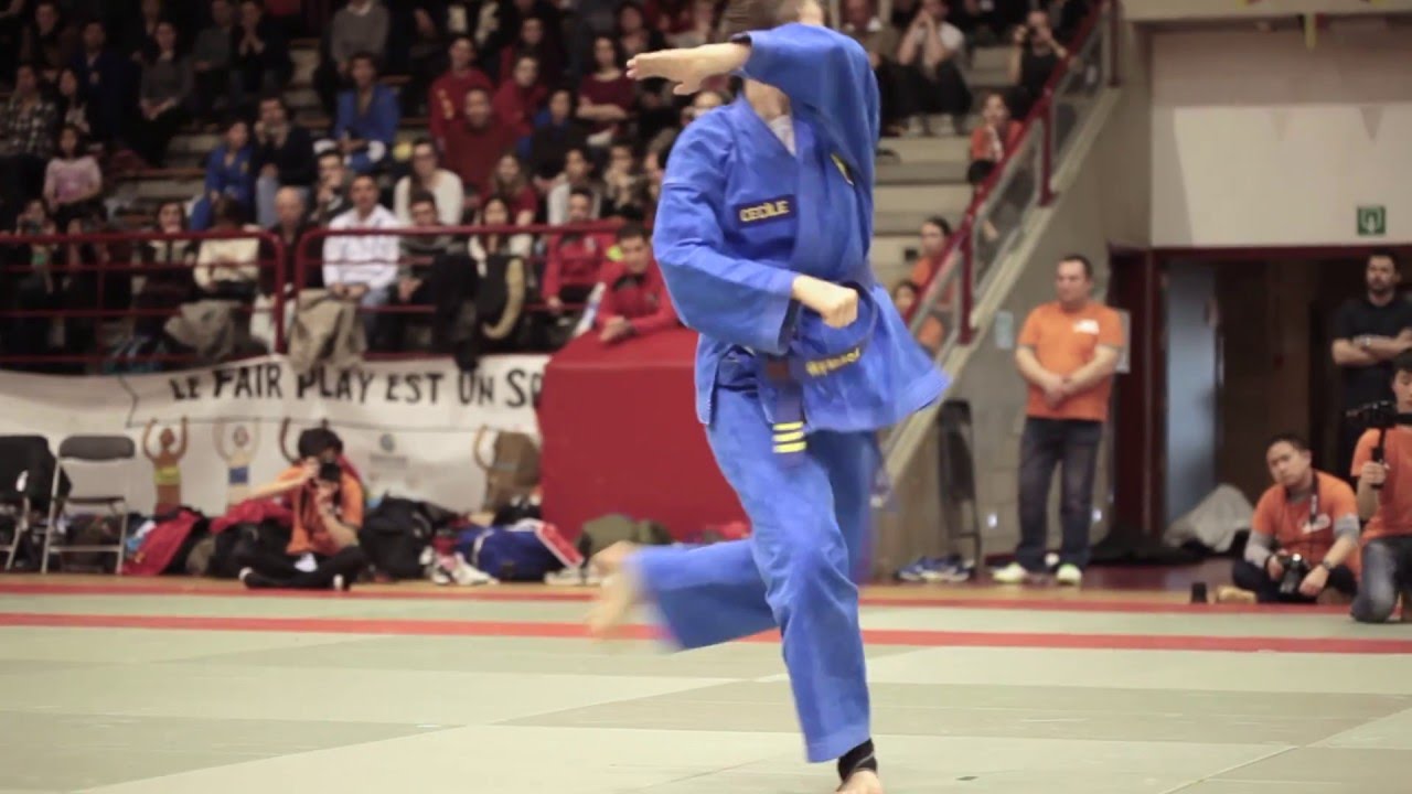 Final Thap Tu Quyen  - 9th Vovinam European Cup, Liege 2016 (HD)