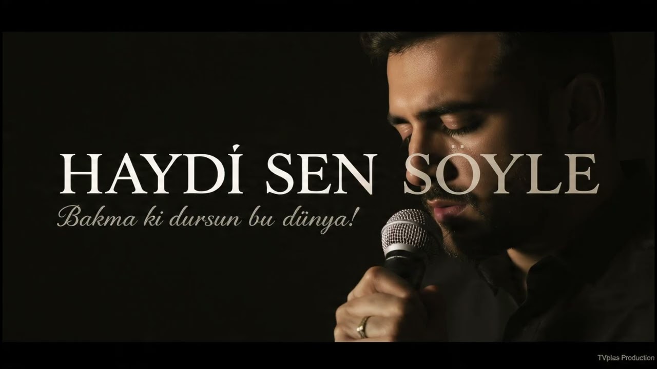 Damlardan Düşen Bir Aşk Hikayesi: Haydi Sen Söyle (Resmi Audio) | TVplas Production