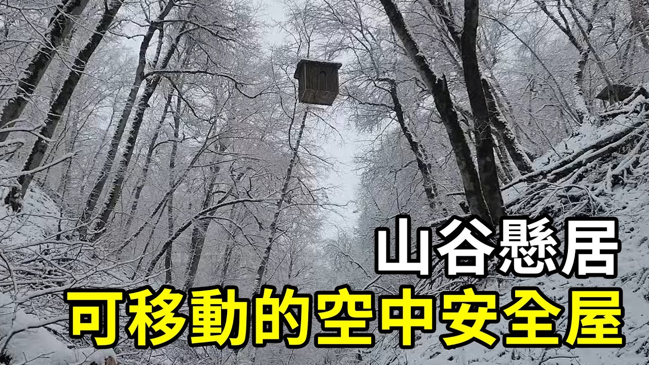 山谷懸居，荒野達人徒手造可移動的空中安全屋！ | #紀錄片 #有趣  #creative