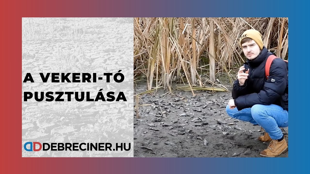 A Vekeri-tó pusztulása - Debrecen