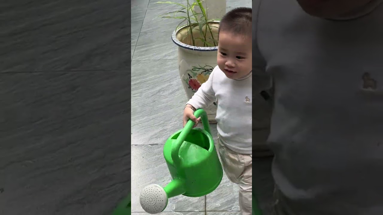 Dưa tưới cây