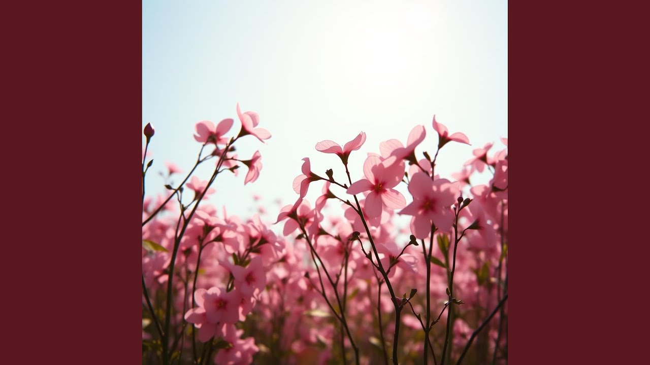 Time Slows Down