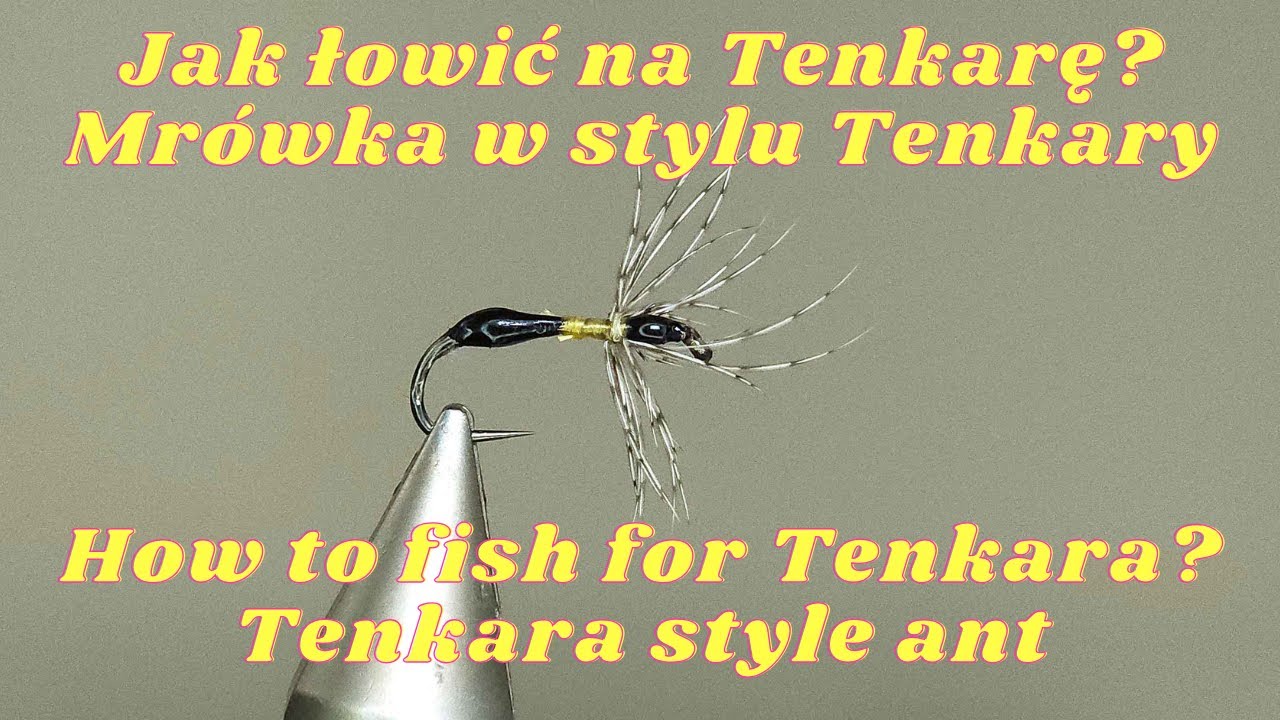 👉Mrówka w stylu tenkary Mokra Mrówka Ant in Tenkara style DryAnt 👈