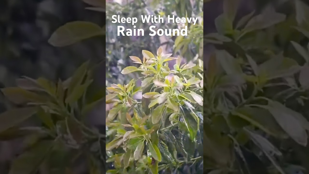 Sleep With Heavy Rain Sound 