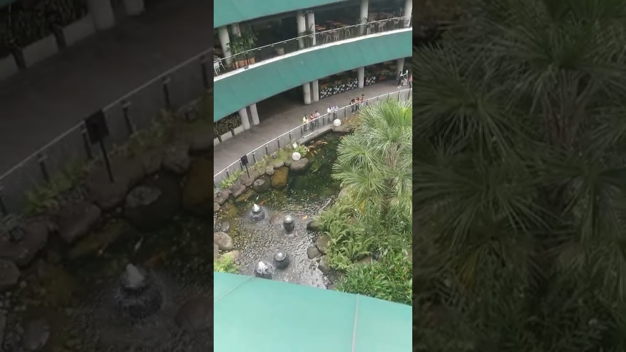 centro primavera urbana Villavicencio con acuario gringo