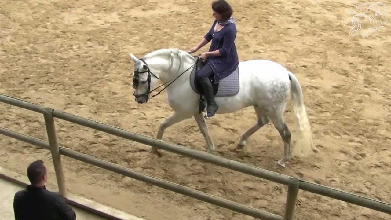Notre travail du cheval espagnol - Annick et Recuerdo