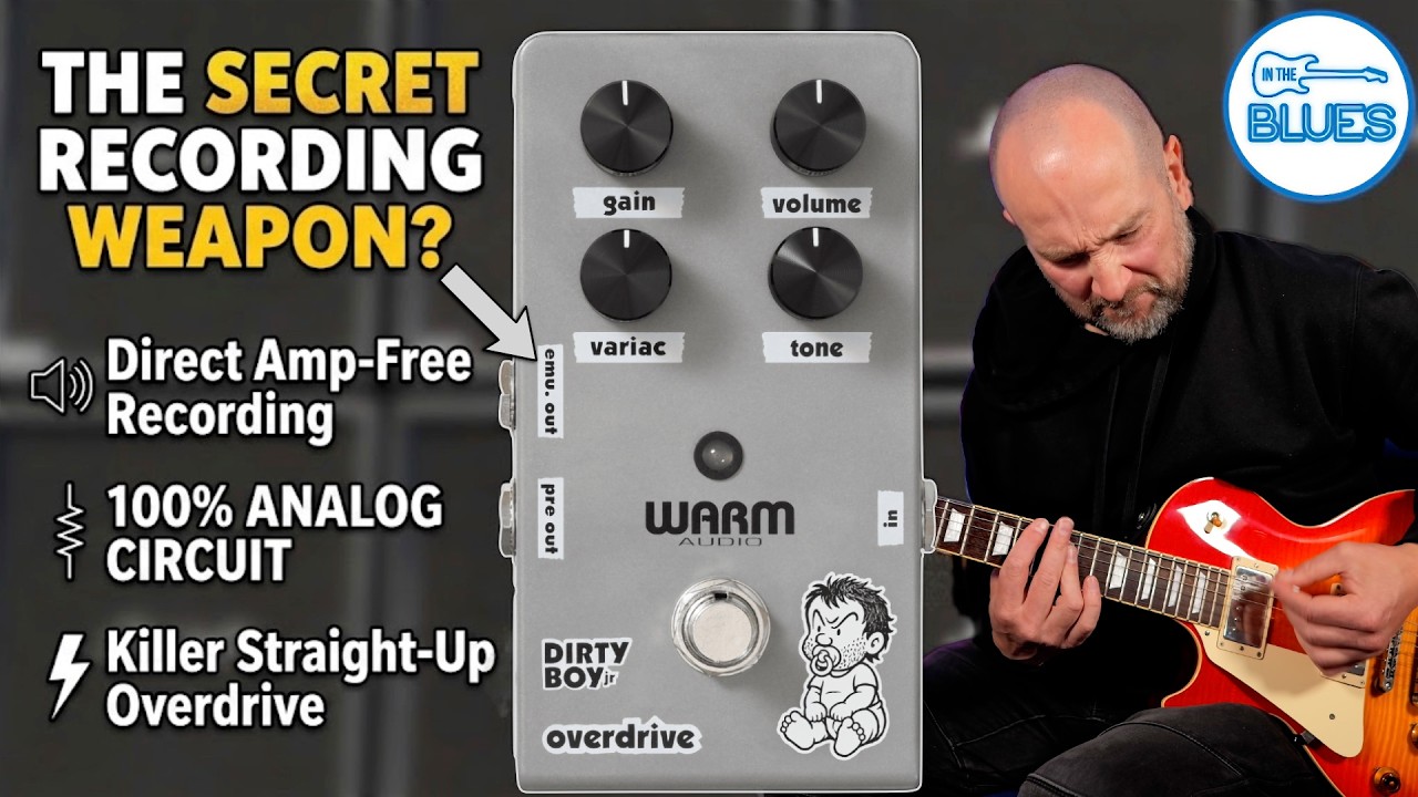 Warm Audio Released a Banger! Warm Audio Dirty Boy Jr. Overdrive!