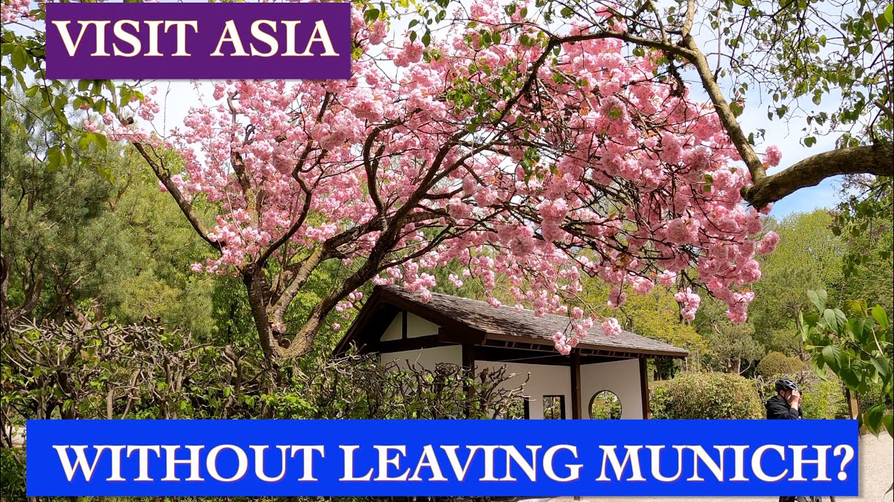 Secret Tourist Spot in Munich - Top 7 Things to Discover in Westpark