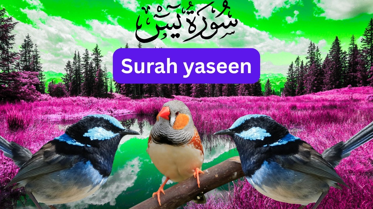 Surah Yaseen with Arabic Text | Powerful Quran Recitation #surahyaseen
