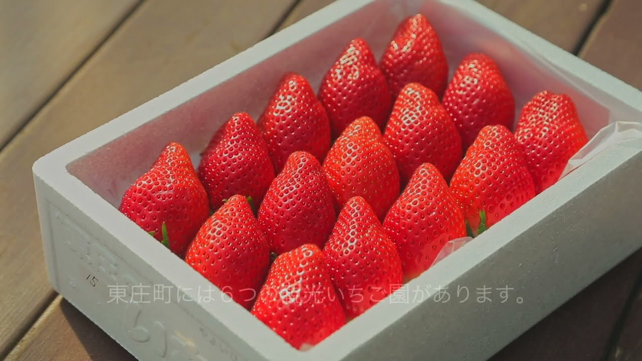 【千葉県東庄町公式】どこ、ここ とうのSHOW　2023年3月号