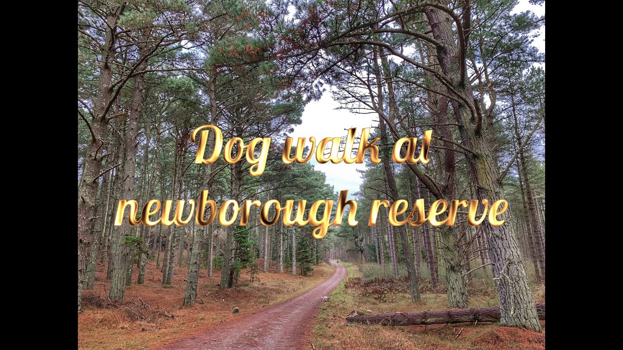 A day trip to newborough beach on angelsey in wales