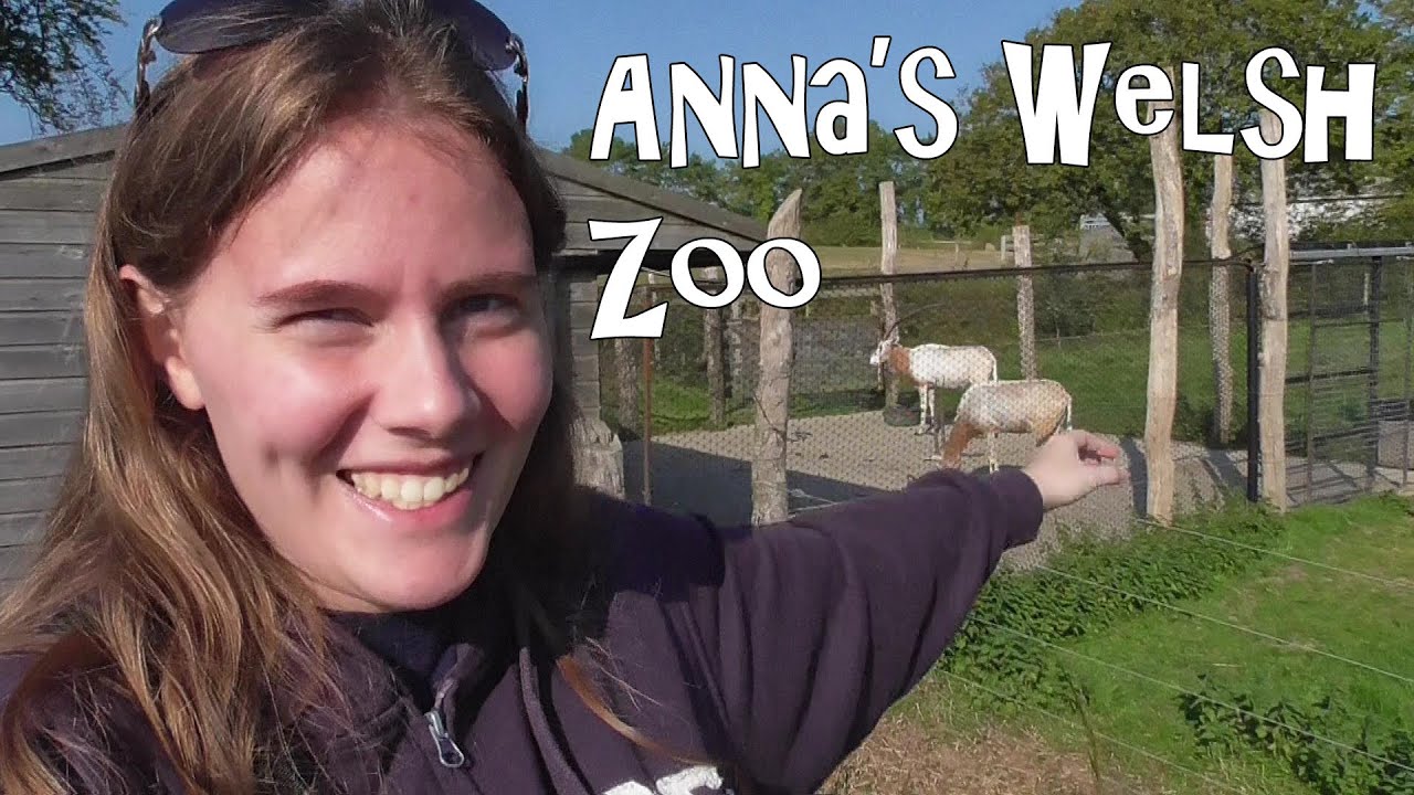 Best Zoo Ever! - Anna's Welsh Zoo, Pembrokeshire