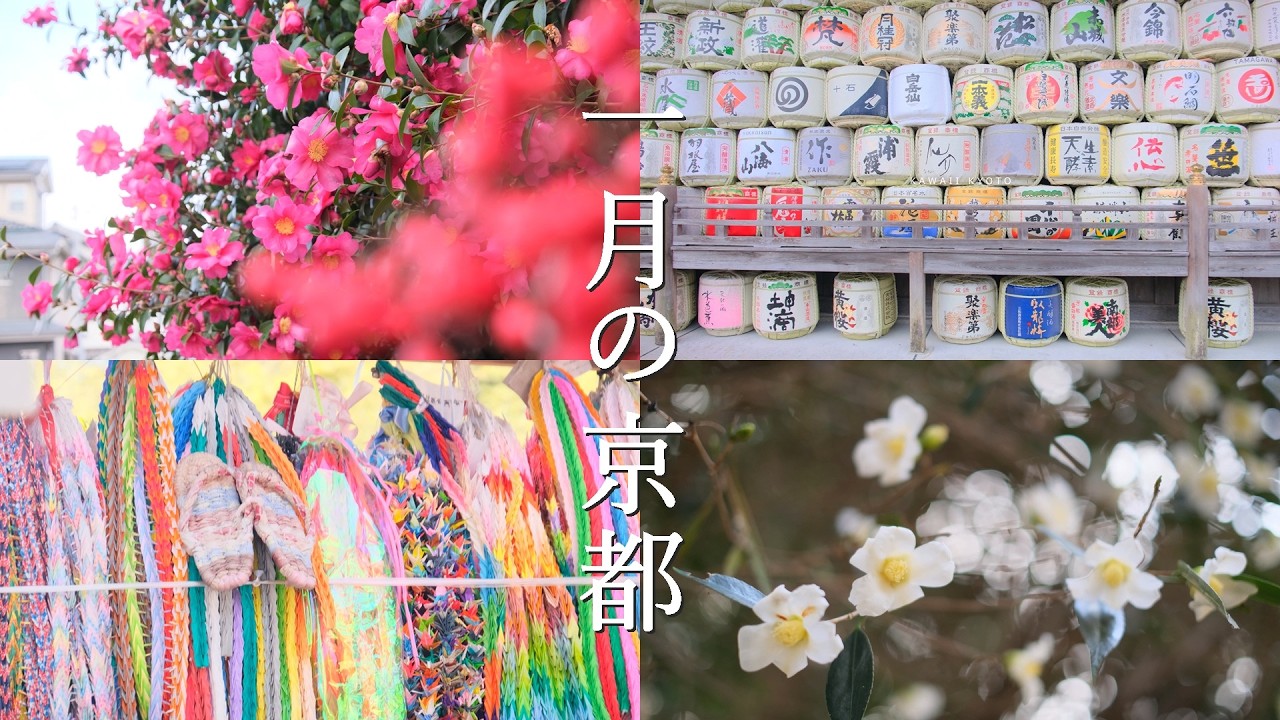 【1月の京都観光】願いが叶う鈴虫寺と冬の彩り旅