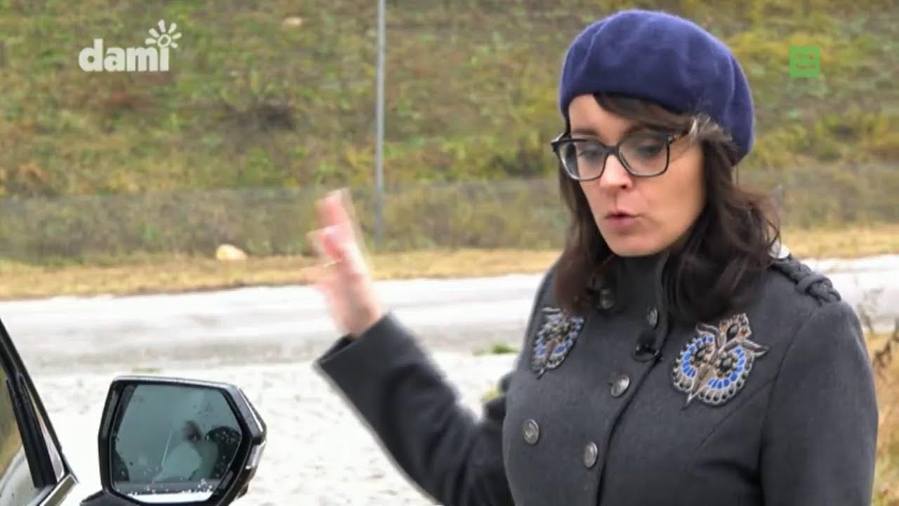 Telewizja Dami Radom – transmisja na żywo