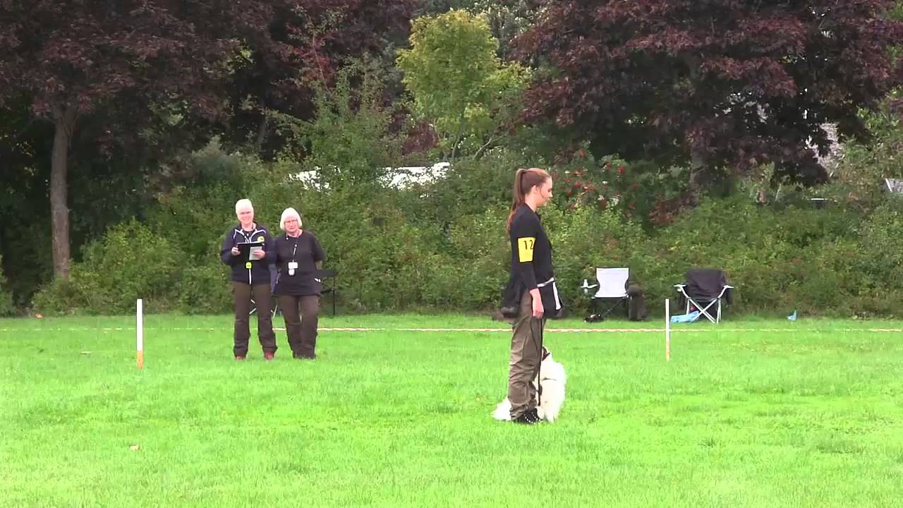 DCH Sæby - DM2013 - 9. plads i C-klassen - Tine med Sommer