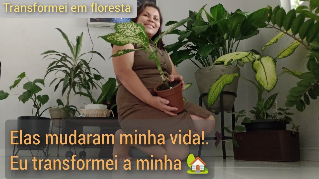As plantas como terapia, Transformei minha sala em paraíso verde,livre da ansiedade!#urbanjungle