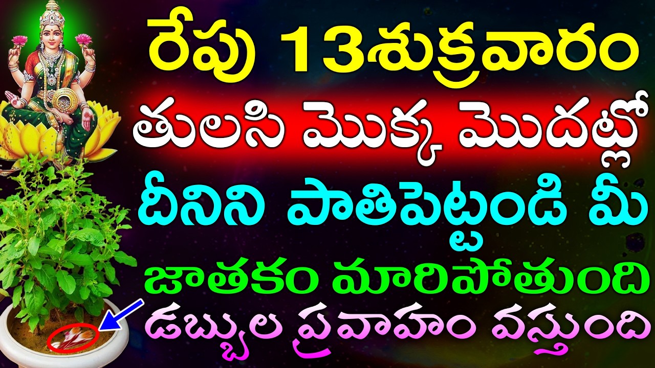 రేపు 13శుక్రవారం  తులసి మొక్క మొదట్లో దీనిని పాతిపెట్టండి మీ జాతకం మారిపోతుంది డబ్బుల ప్రవాహం
