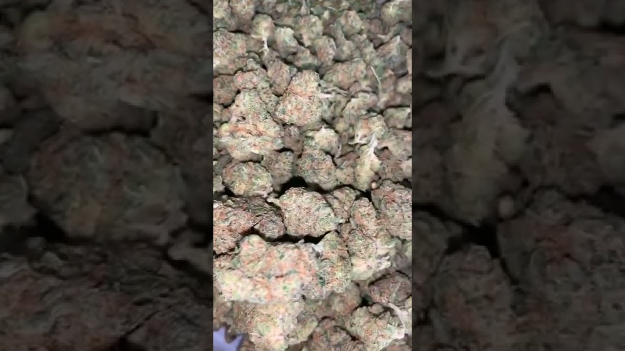 Rapper Badboi Flexes Pound Of Weed!
