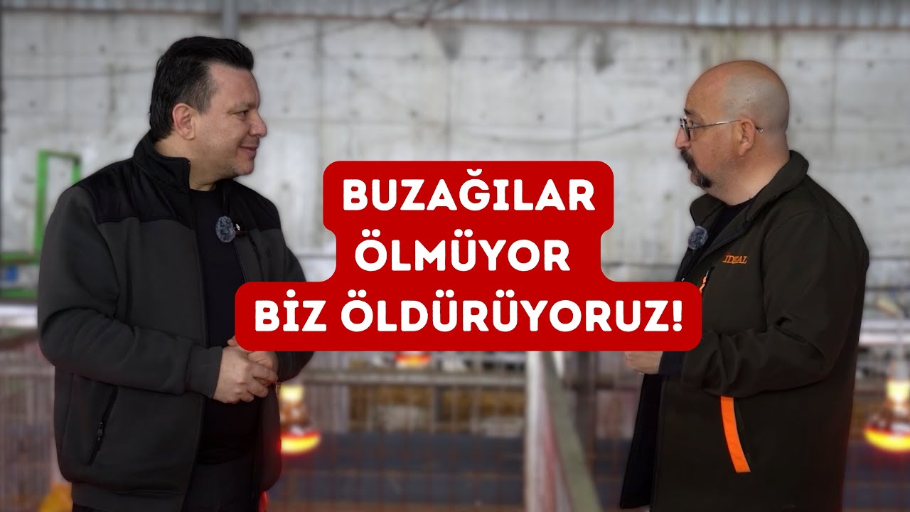 Ge&ccedil; Buldum Erken Kaybettim - İdeal Hayvancılık&nbsp;1.B&ouml;l&uuml;m