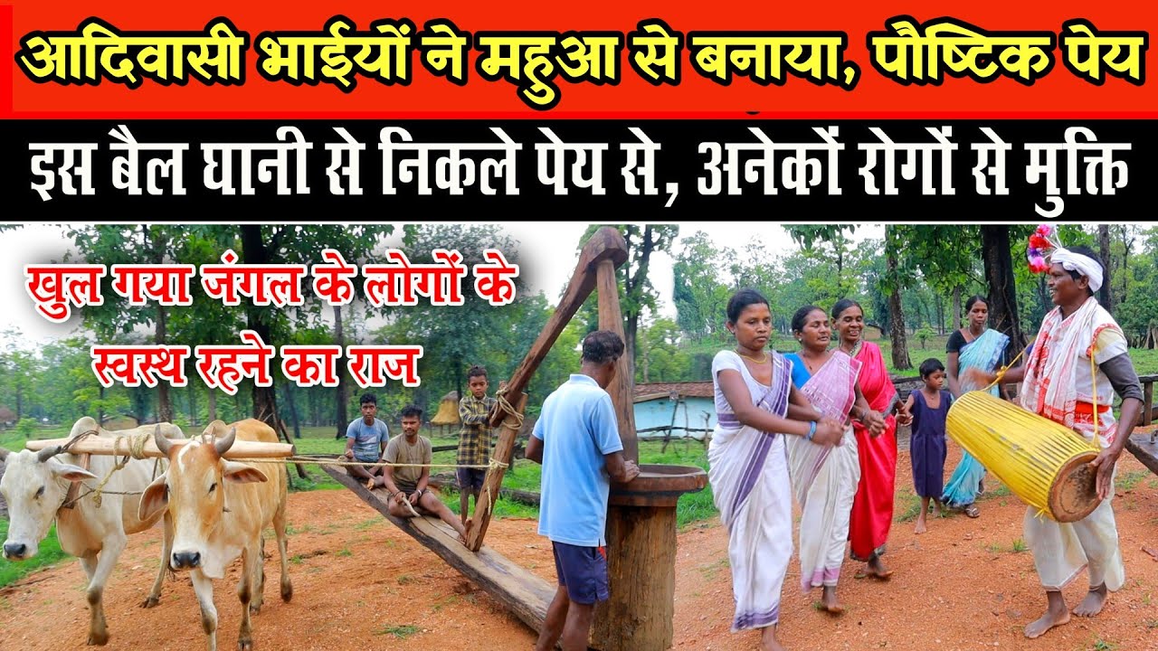 Bail kolhu:आदिवासी भाईयों ने की प्राकृतिक औषधि तैयार।