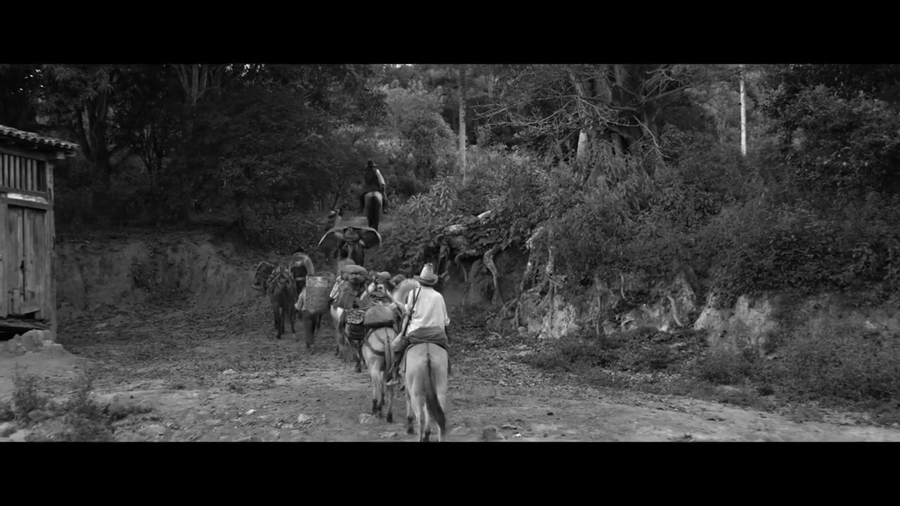 Vazante - Excerpt #2
