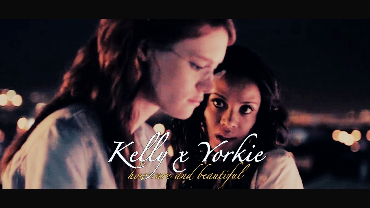 Kelly x Yorkie | How rare and beautiful
