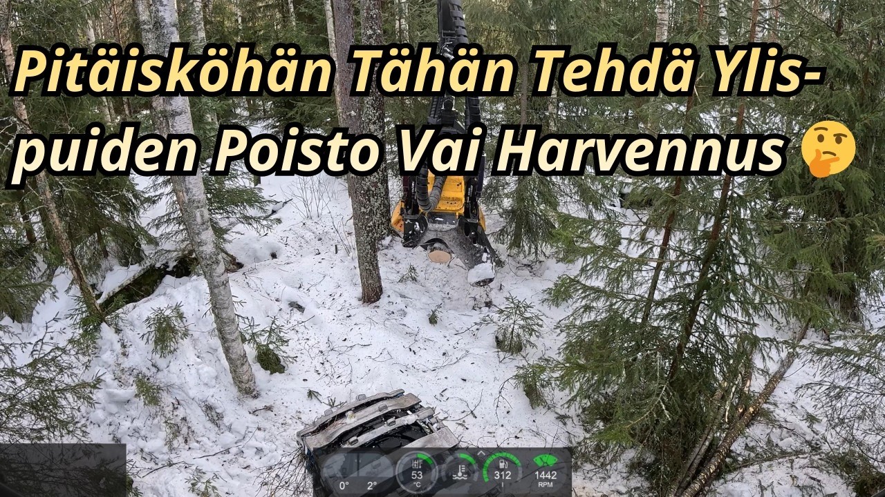 Vähän Erikoisempi Harvennushakkuu ja Kelikin Plussalla Reilusti. Ponsse Scorpion K AC New H7 -25