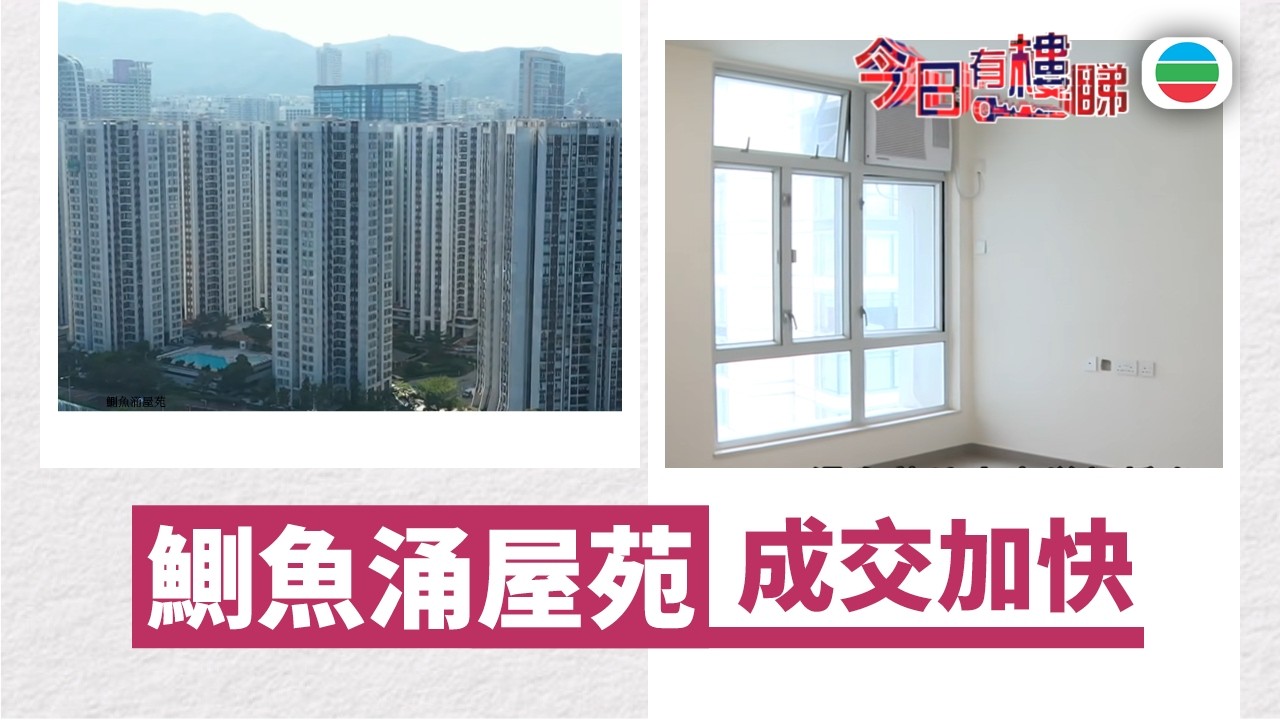 TVB今日有樓睇｜2026年03月16日｜鰂魚涌屋苑　成交加快｜樓市｜樓盤