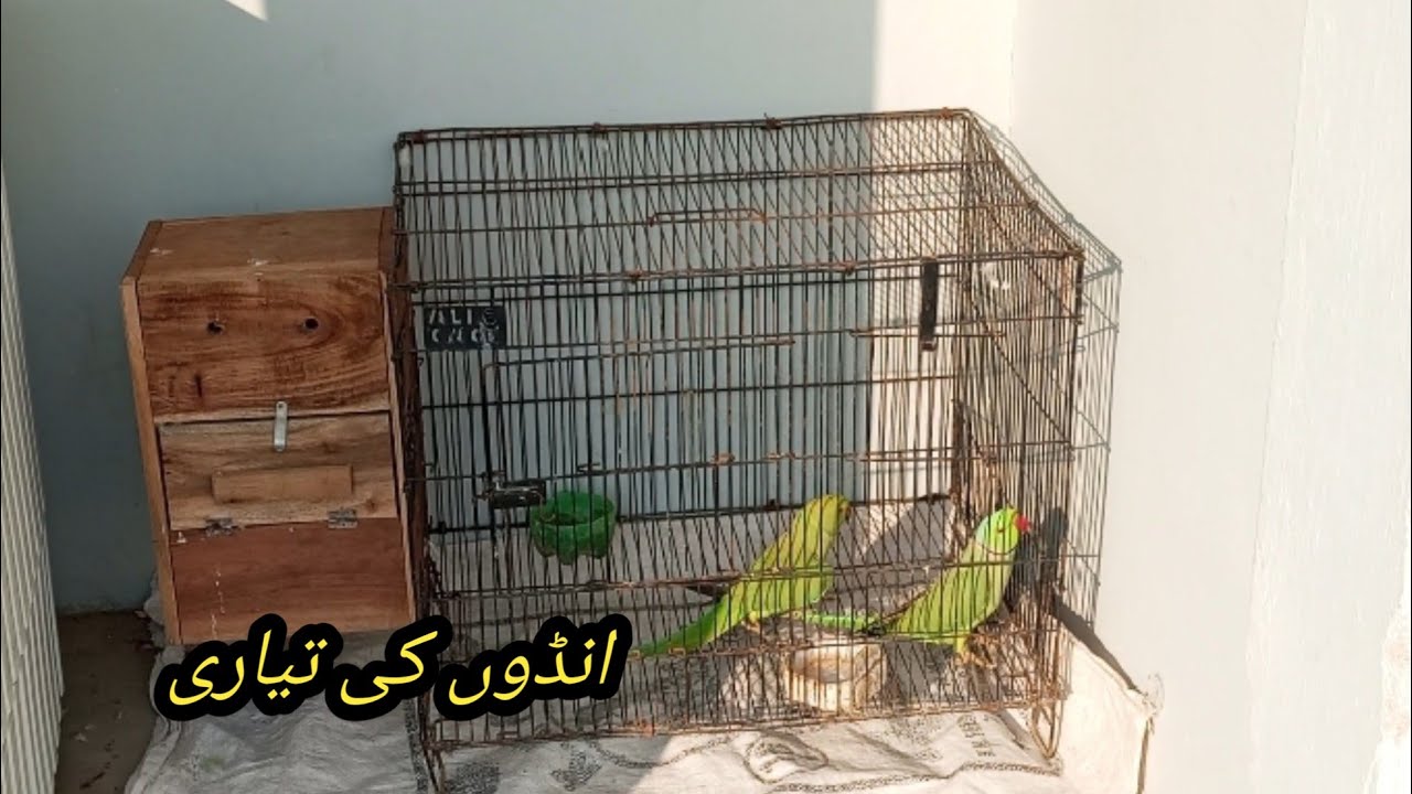 Breeding setting 