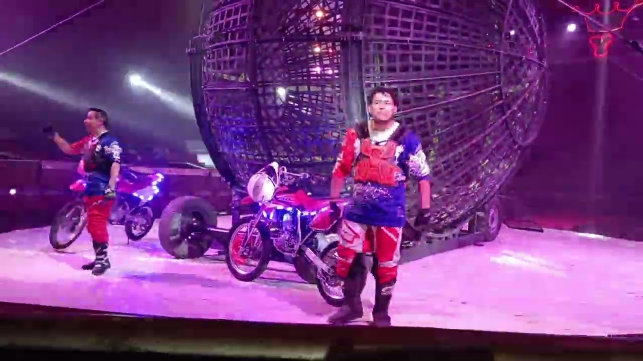 👑 IMPERIAL 👑 ROYAL CIRCUS 🎪