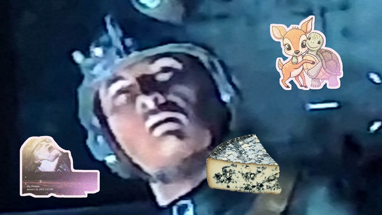 Expired Cheese.png 🧀🫠