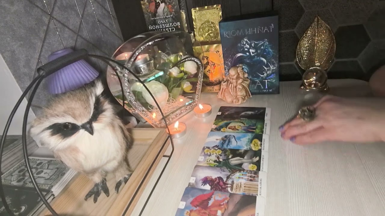 🔥🤦Что, вдруг, с ним произошло🔥. Что, он хочет на самом деле🔥🤦