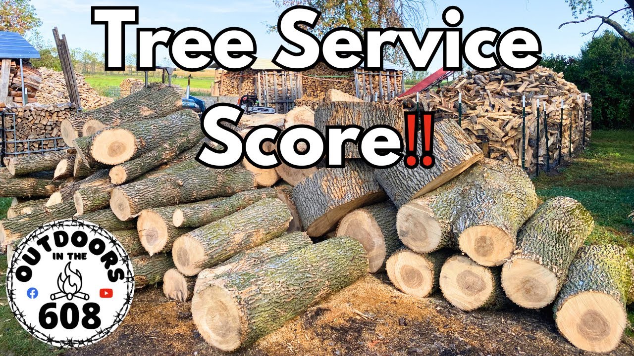 Stihl MS 400 C-M Cutting Tree Service Wood‼️