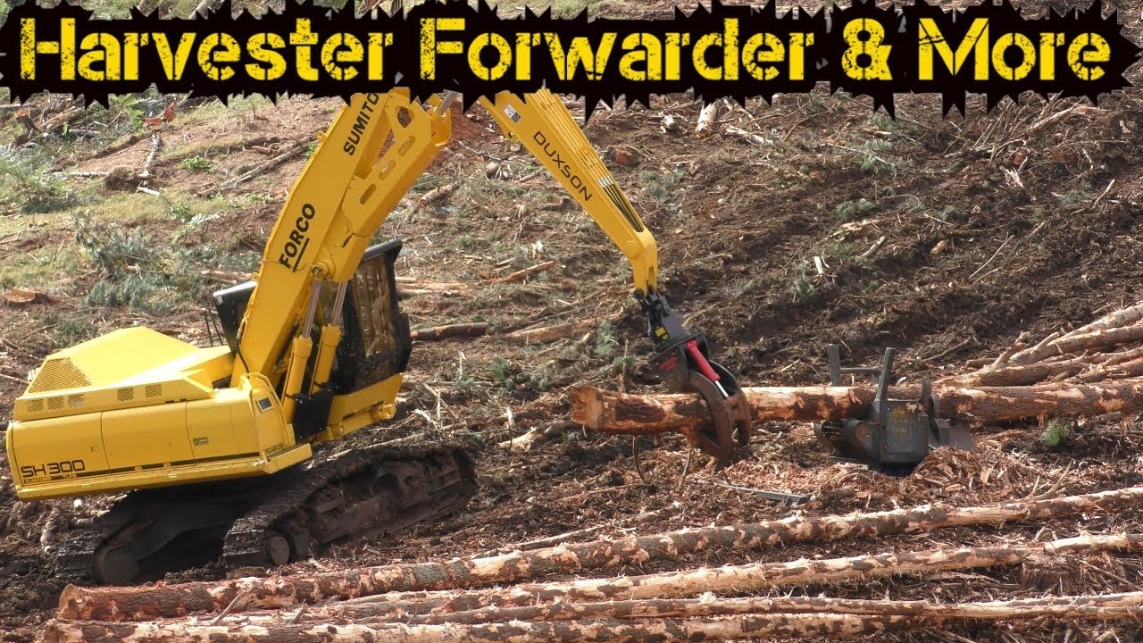 Shovel Logging & Debranching | Sumitomo SH300 & Harvesttech S3000 Delimber