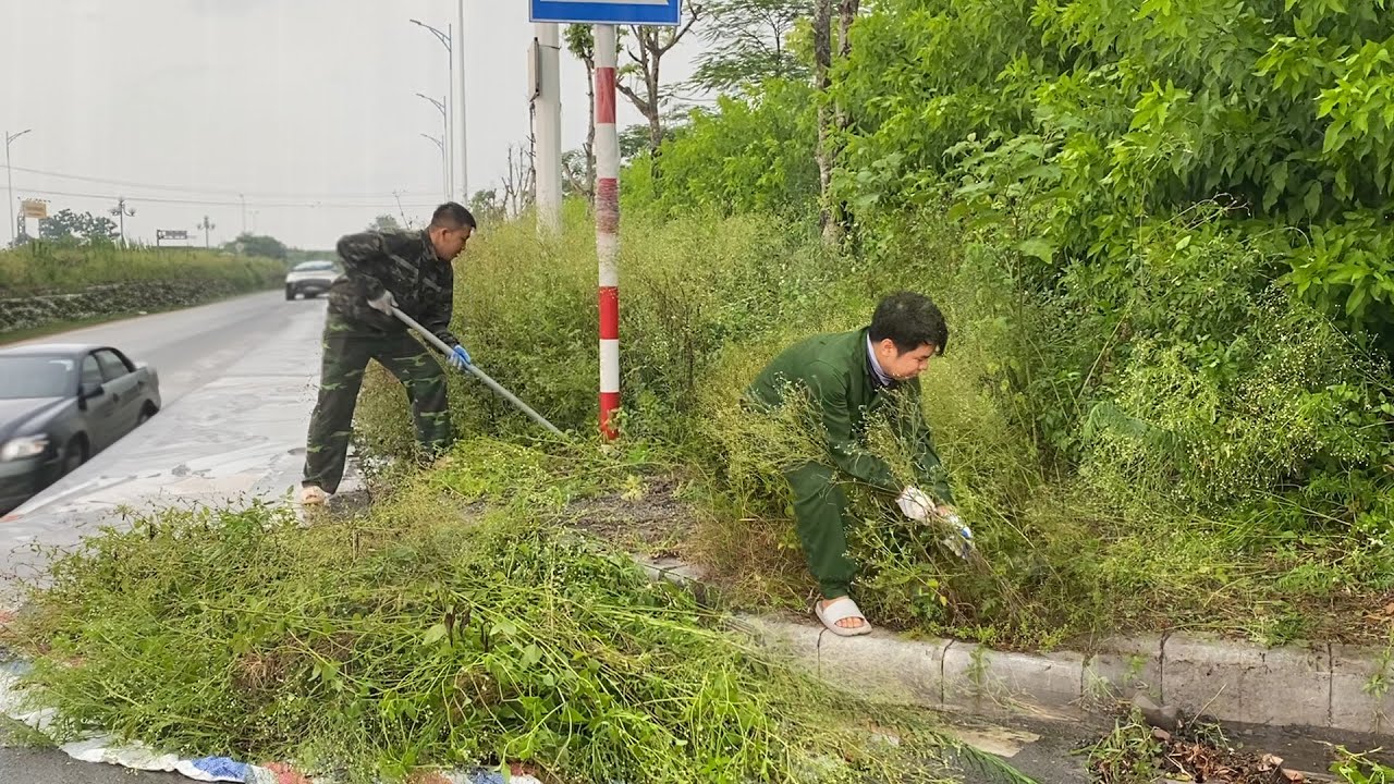We were cleanup overgrown the sidewalk of weeds when suddenly the storm hit | Clean Mowing 28
