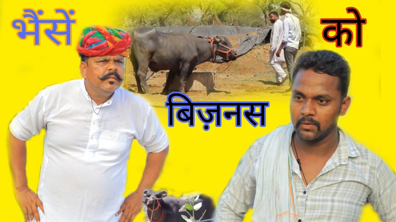 भैंसे को बिजनेस ।। Bhenso ko business।। Magharam odint।।Bhanu ki comedy।। Magaram odint ki comedy।।