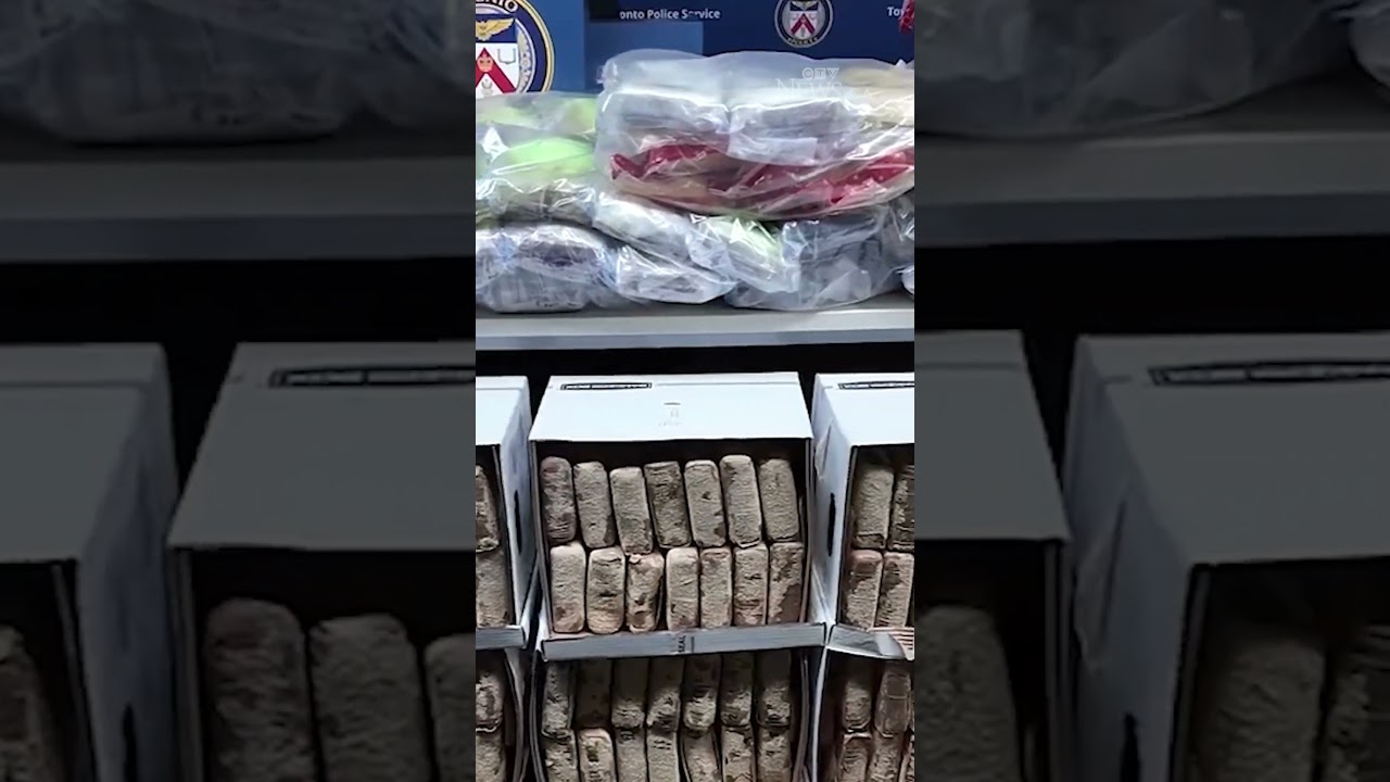 Полиция Торонто изъяла крупнейшую партию кокаина в истории города.