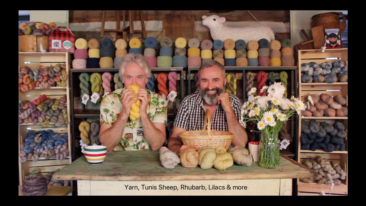 Lilac Yarn, Tunis Sheep and Cabin talk
