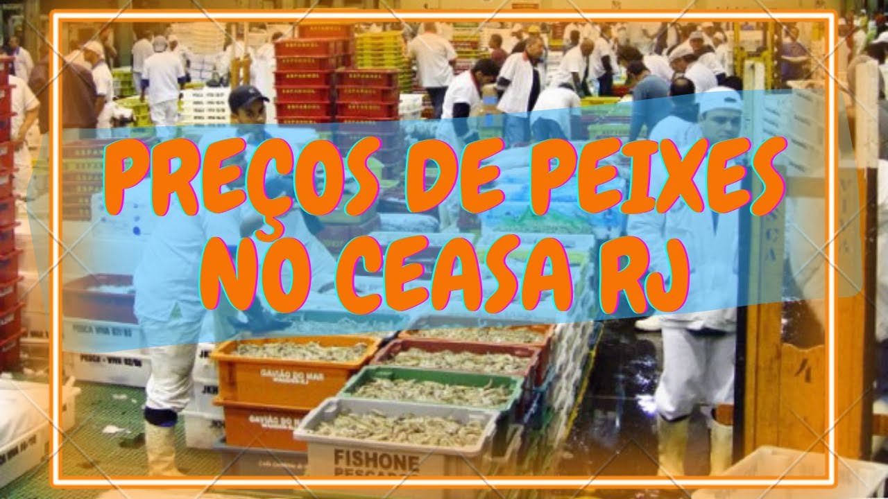 PREÇOS DE PEIXES NO CEASA RJ - PEIXE NO CEASA - Você não vai acreditar nesses valores !!!
