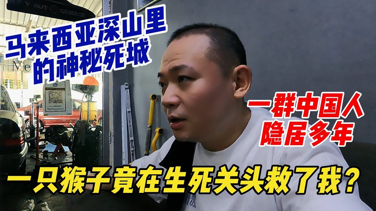 马来西亚深山里的神秘死城，一群中国人隐居多年，一只猴子竟在生死关头救了我？