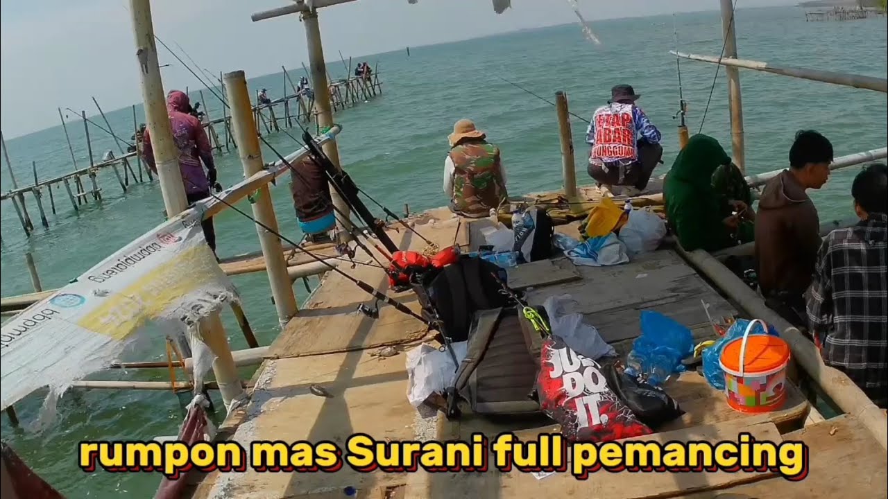 MANCING RUCAH DI RUMPON SETREGER MAS SURANI IRIGASI MANGKANG
