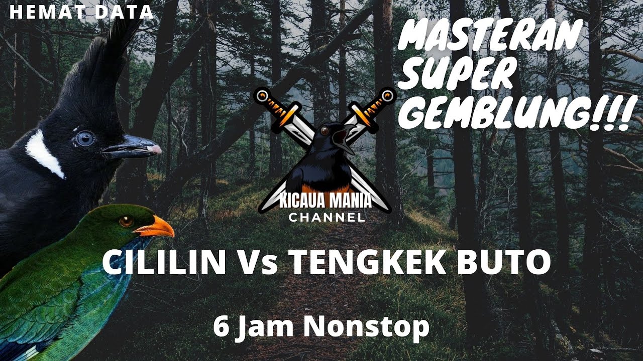 MASTERAN SUPER GEMBLUNG, CILILIN Vs TENGKEK BUTO 6 Jam || Kicau Mania Channel
