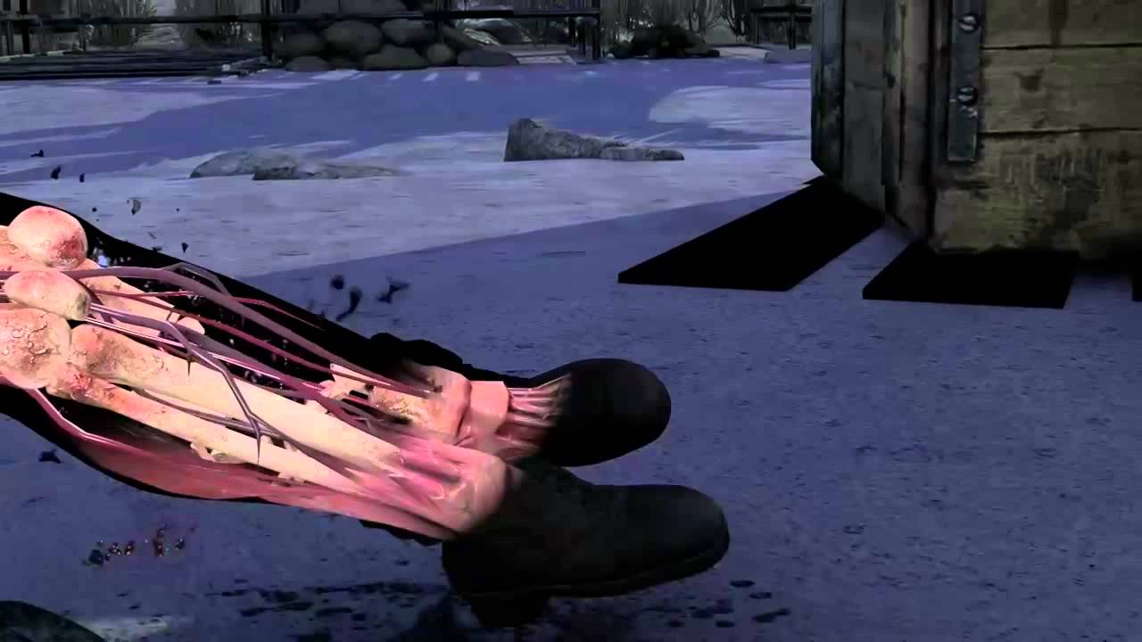 Sniper Elite 3 - Funny Killcam
