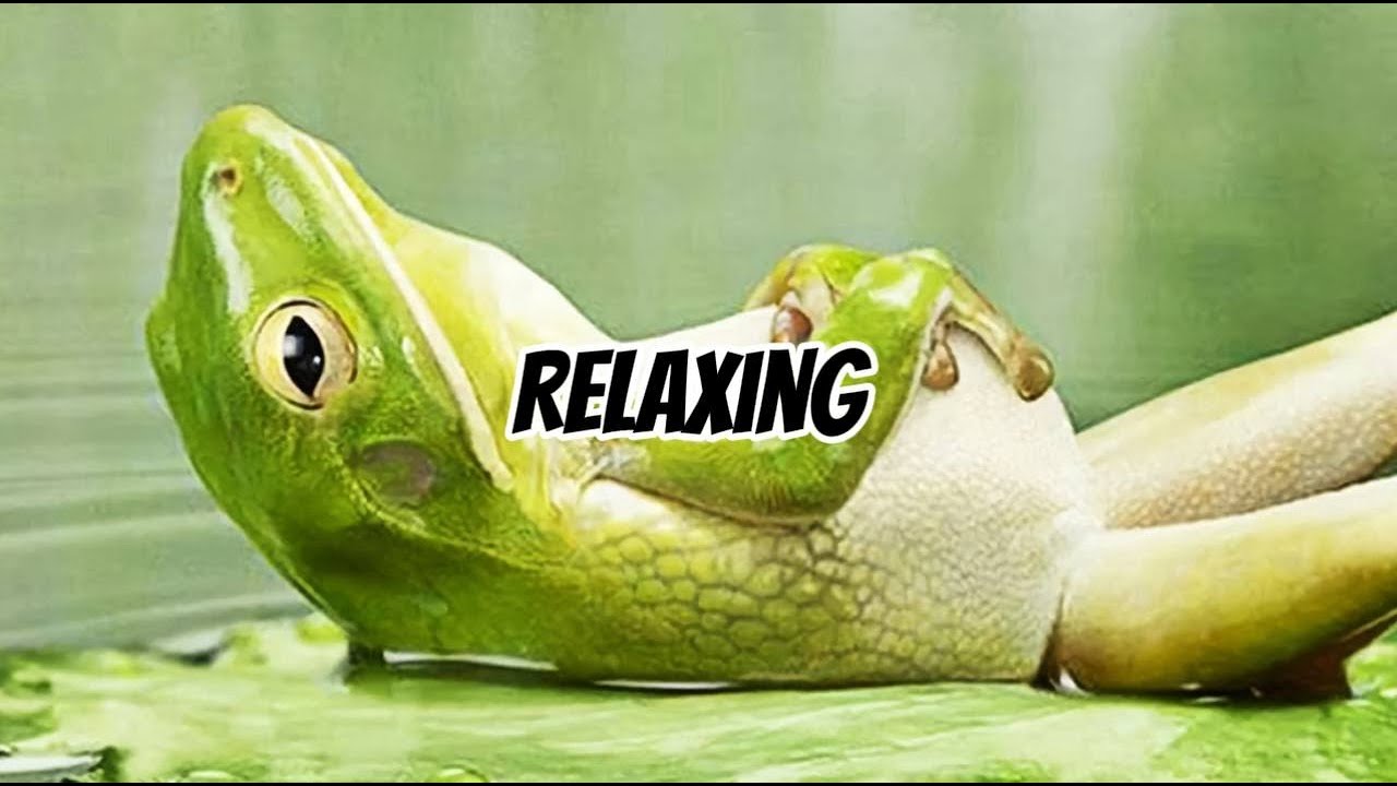 Relaxing Music For Deep Sleep &bull; Anxiety Relief, Melatonin Release &bull; Stop Overthinking