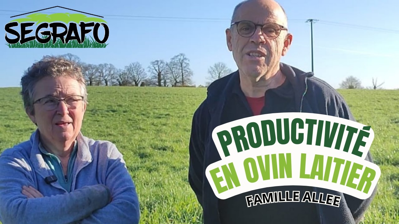Augmenter la production en ovin lait avec un séchoir en grange