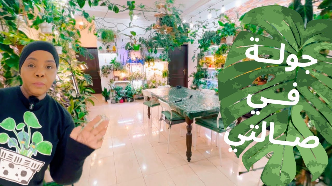 جولة في صالتي واسماء نبات الفيلودندرن في مجموعتي