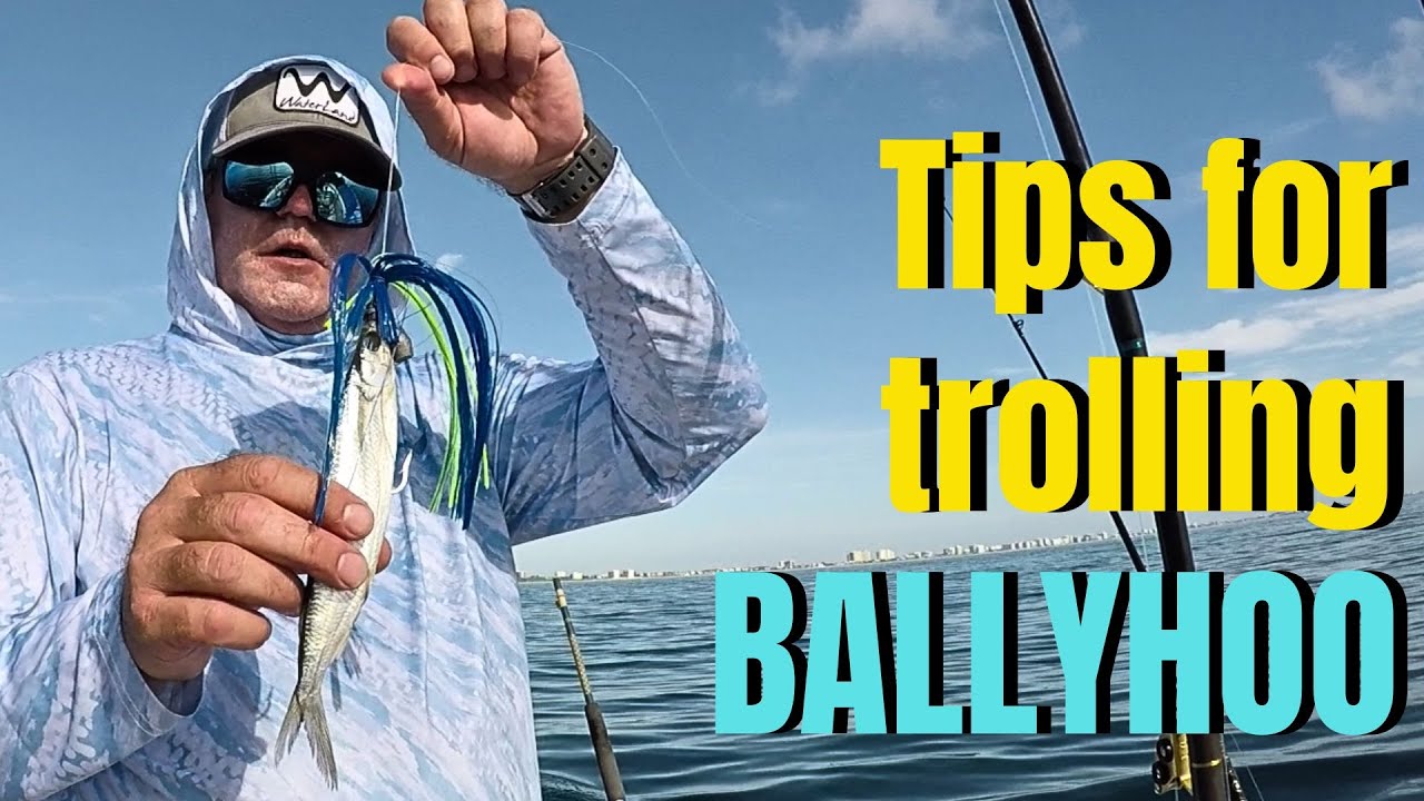 Советы по троллингу BALLYHOO