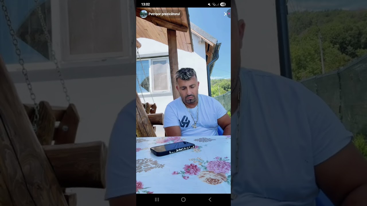 Adelin petrisor cearta justitiarul din berceni