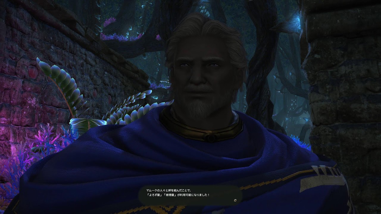 【ネタバレ有/初見】FF14 黄金のレガシー　実況プレイ　ストーリー 進める　６